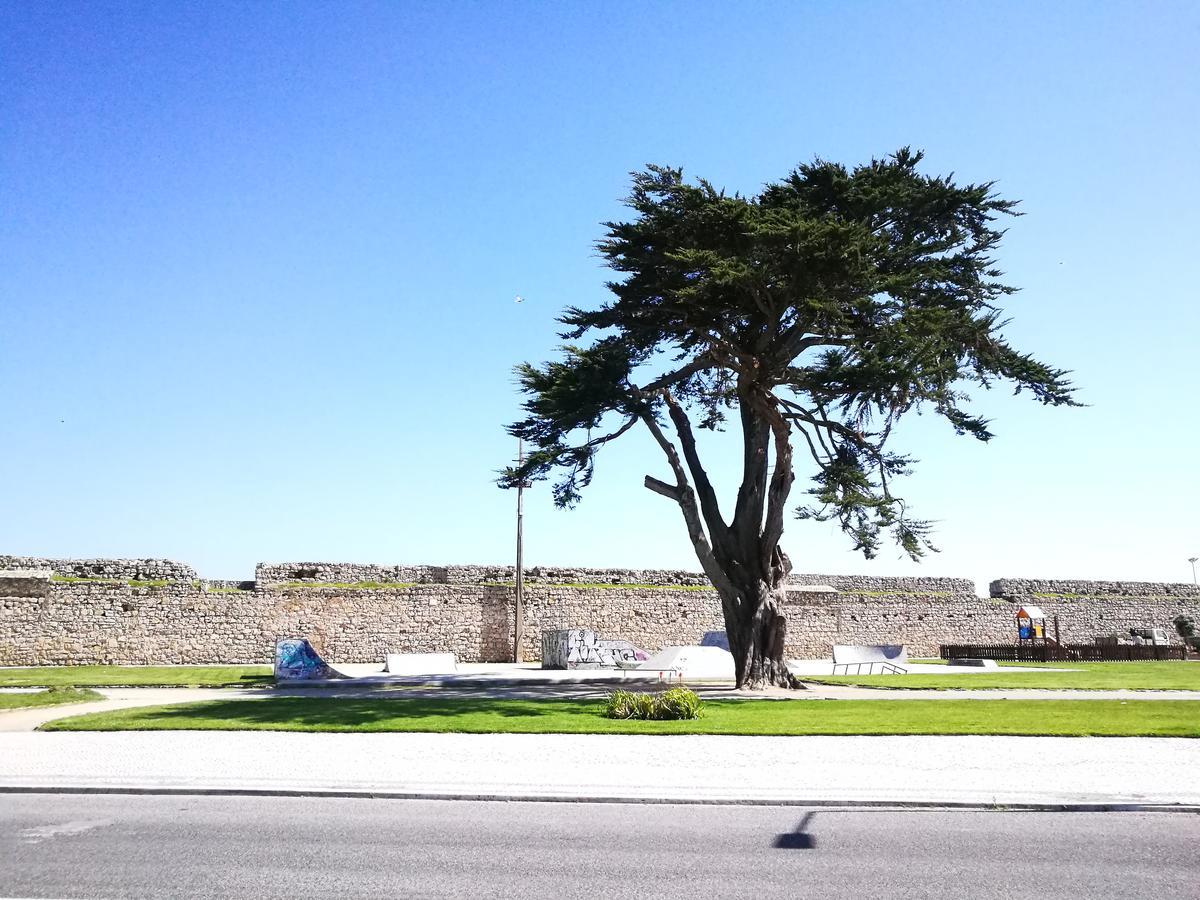 Peniche'S Blue & White Apartment Luaran gambar